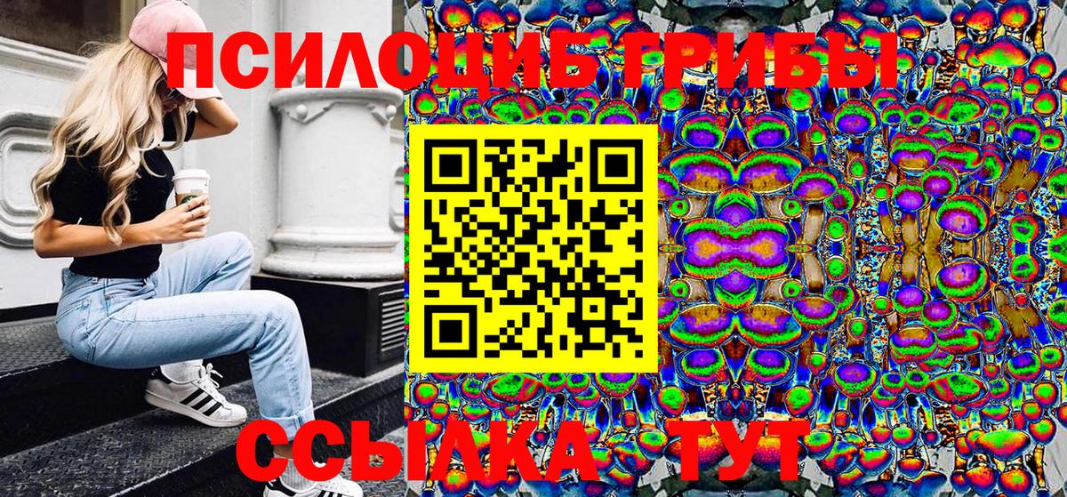 Галлюциногенные грибы прущие грибы Коряжма