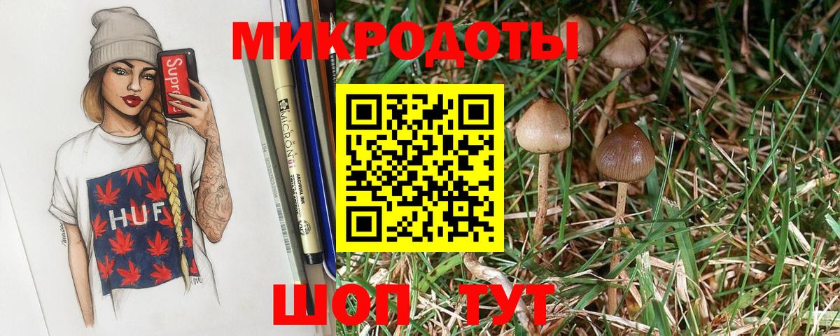 Псилоцибиновые грибы GOLDEN TEACHER  Вход с VPN  Коряжма  Галлюциногенные грибы прущие грибы 